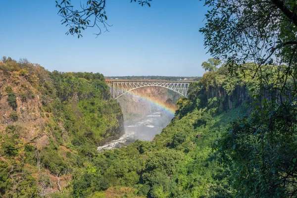 Gorge Victoria Falls köprü altında yayılan gökkuşağı — Stok fotoğraf