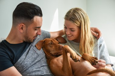 Macar Vizsla tutan çift gülümseyen, yakın çekim