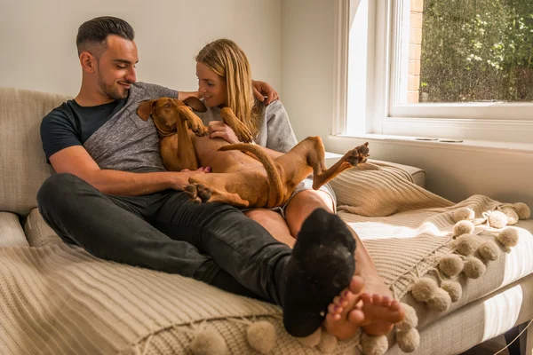 Ablak cuddling kutya a kanapén pár — Stock Fotó