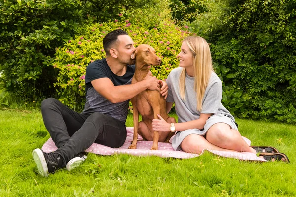 Couple on rug with man kissing dog — Stock Photo, Image