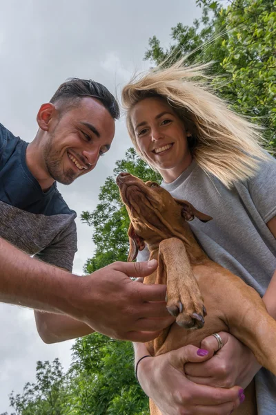 Close-up of smiling couple cuddling Hungarian Vizsla — Stock Photo, Image