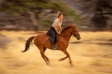 Yavaş bir sarışın tavası savana doğru gidiyor.