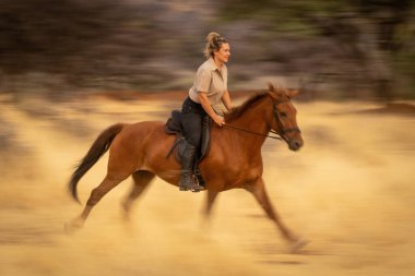 Sarışının yavaş tavası ormanda geziniyor.