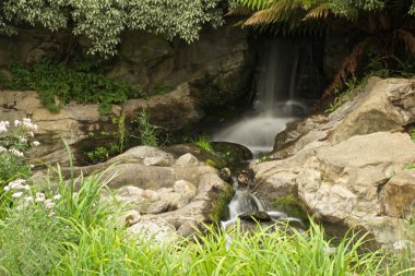 rocky peyzaj ağaçları altında bulanık şelale