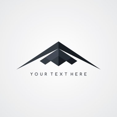 Stealth uçak logosu 