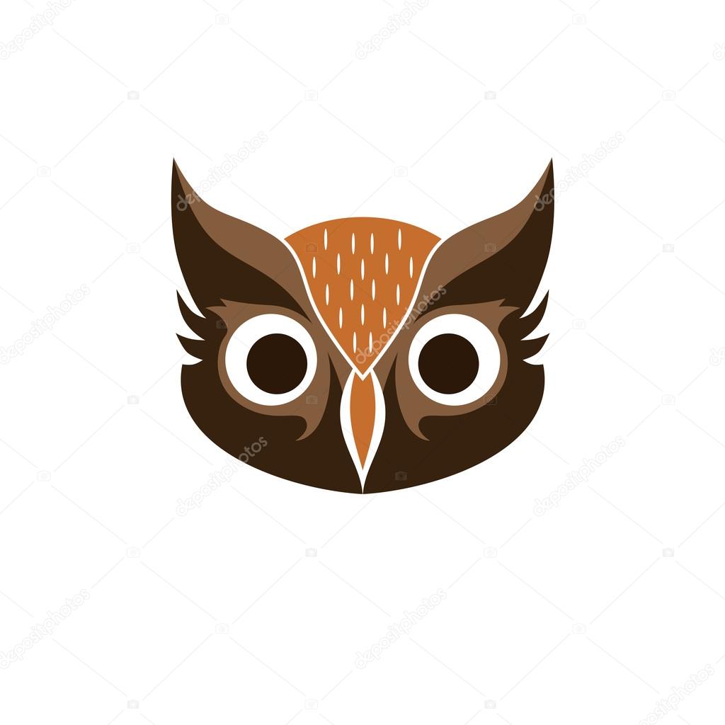 decorative owl bird face