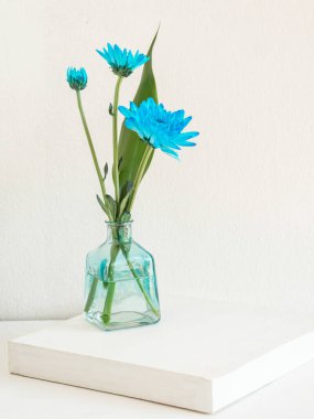 Beyaz ahşap arka planda vazoda güzel mavi çiçek (kasımpatı). Metnin için boşluk.