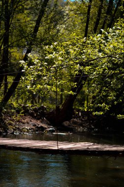 Wood bridge over small stream, peaceful scene