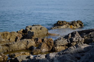 Denizde, kayalarda ve suda, deniz kenarında.