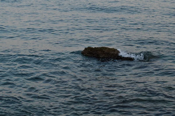 크로아티아 해변의 — 스톡 사진