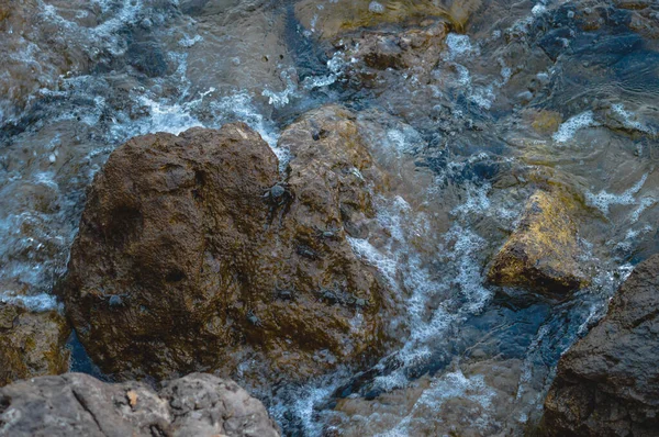 Small crab, crabs on rocks at the beach, at the sea, small waves.