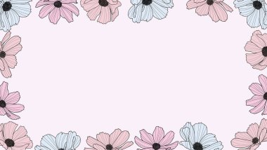 Bahçe kozmosu çiçek alıcısı, vektör çiçekçi, botanik illüstrasyon