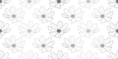 Bahçe kozmosu, kusursuz desen arka plan, vektör duvar kağıdı. Çiçekli yay deseni. Gümüş ve beyaz kız tasarımı.