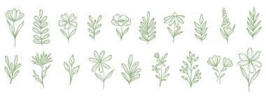 Botanik karalamalar vektör küçük çiçekler ve bitkiler çizgi resim klipsi seti