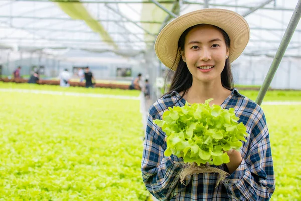 Beleza Mulher Asiática Agricultor Proprietário Com Sorriso Segurando Vegetais Hidropônicos — Fotografia de Stock