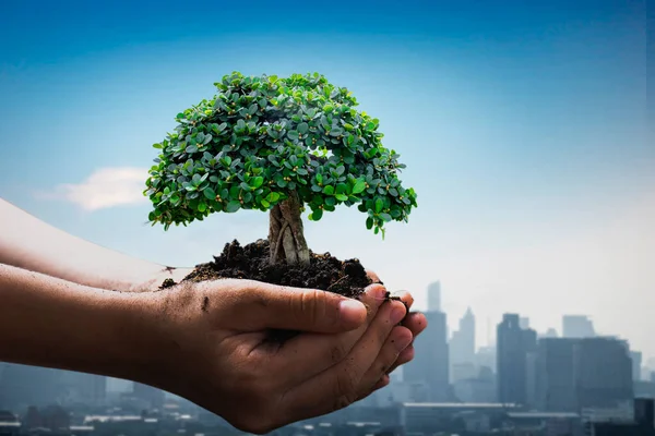 Dünyayı kurtarın ve şehri kirlilikten ve 2.5 mikron çapından az bir çapa sahip partikül maddesinden koruyun. Öğleden sonra 2,5, yeşil ve yeni yönetim akıllı şehri