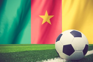 Futbol topu ve Kamerun yalanlar üzerine yeşil ciğeri ulusal bayrak