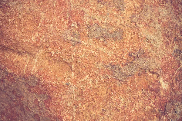 石化木材纹理背景复古色调 — 图库照片