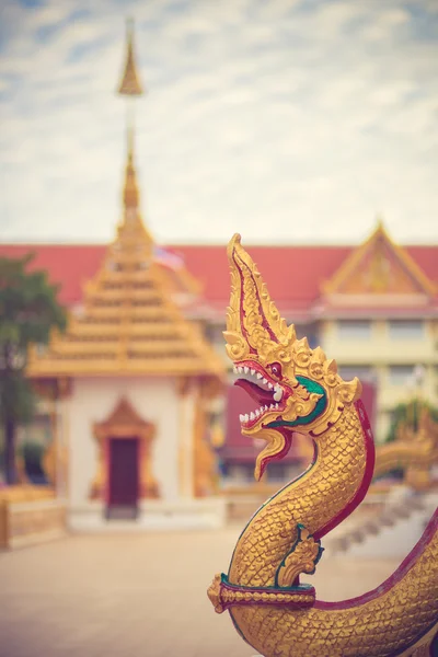 Naga statyer i templet vintage färg — Stockfoto