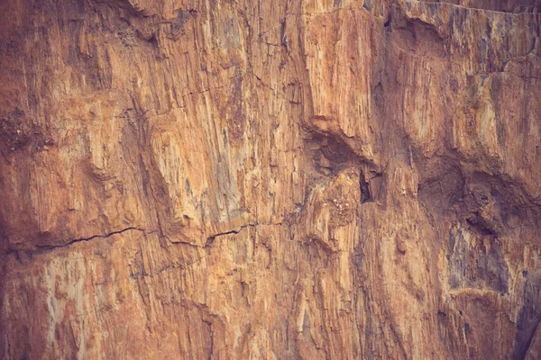 Die versteinerte Holzstruktur Hintergrund Vintage-Farbe — Stockfoto