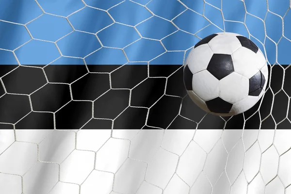 Bandera de Estonia y pelota de fútbol, fútbol en la red de goles —  Fotos de Stock