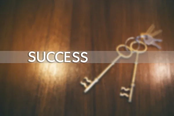 The Key to Success. Key on a wooden background.