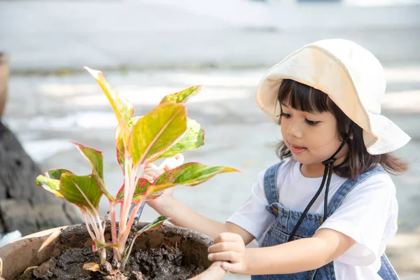 Petite Fille Asiatique Mignonne Plantant Arbre Dans Pot Avec Moment — Photo