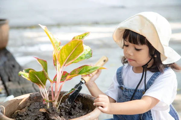 Petite Fille Asiatique Mignonne Plantant Arbre Dans Pot Avec Moment — Photo
