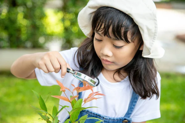 Νεαρό Κορίτσι Ψάχνει Φύλλα Δέντρων Μέσω Μεγεθυντικός Φακός Υπαίθριο Σουτ — Φωτογραφία Αρχείου