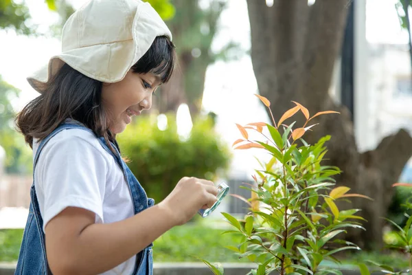 Νεαρό Κορίτσι Ψάχνει Φύλλα Δέντρων Μέσω Μεγεθυντικός Φακός Υπαίθριο Σουτ — Φωτογραφία Αρχείου