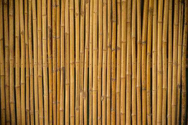 Бамбуковый забор — стоковое фото