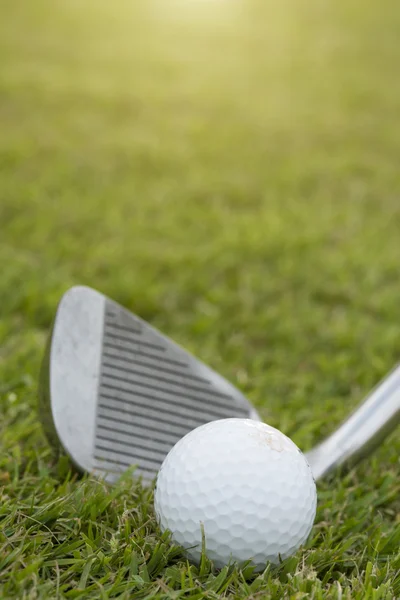 Golf club and ball in grass — Stock Photo, Image