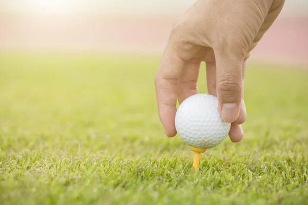 Ruka drží golfový míček s t na hřišti, detail — Stock fotografie