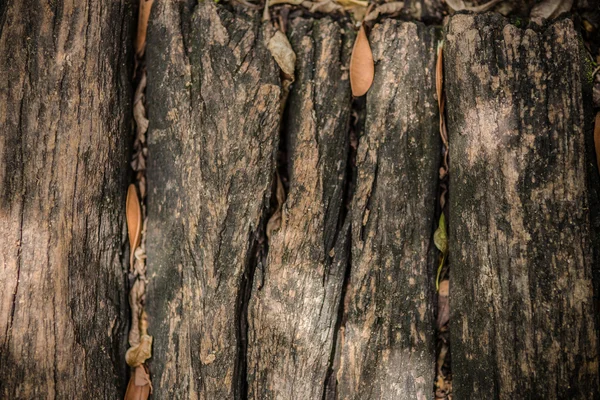 Textura de madeira. contexto — Fotografia de Stock