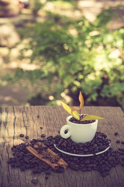 Taza de café y grano de café en una mesa de madera y plant.vi café — Foto de Stock