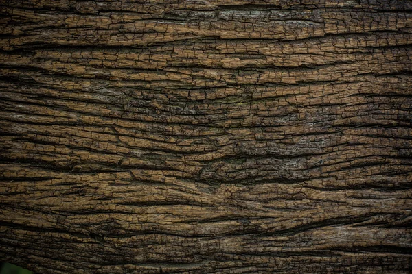Holzstruktur. Hintergrund — Stockfoto