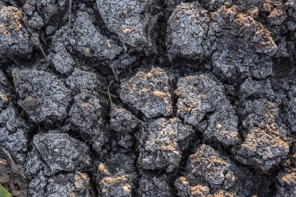 Land met droge en gebarsten grond. Woestijn — Stockfoto