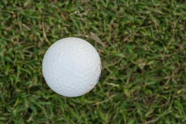 Golf topu ve golf sopası çimlerin üzerinde
