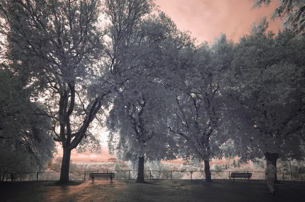 El amanecer de un día mejor Fotos De Stock