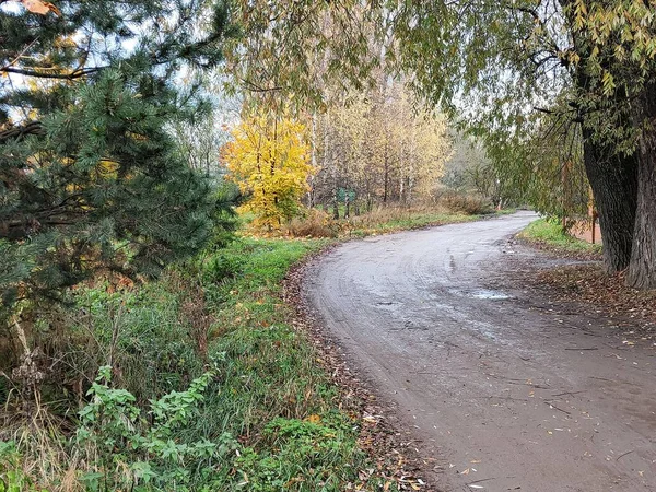 Parkta sonbahar yolu 