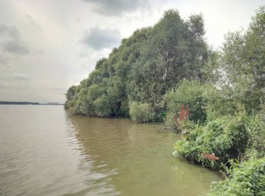 Nehrin arka planında yeşil bitkiler