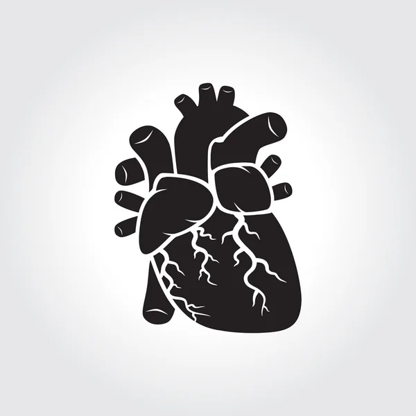 Symbol srdce anatomie — Stockový vektor