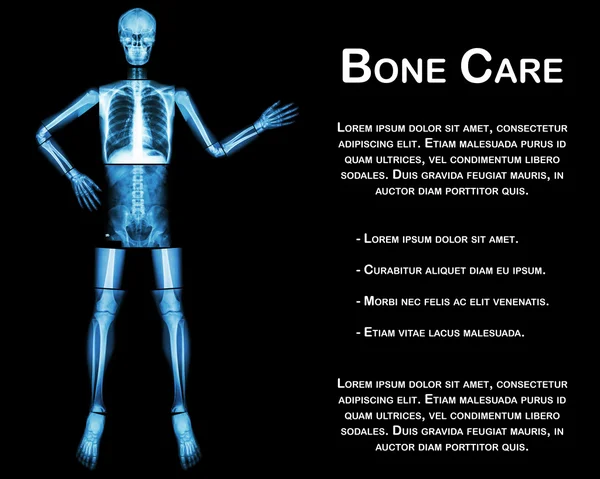 Esqueleto humano presentar algo (Todo el cuerpo: cabeza cráneo cuello columna hombro brazo codo antebrazo muñeca mano dedo pecho tórax corazón pulmón abdomen espalda vértebra pelvis cadera muslo rodilla tobillo pie  ) — Foto de Stock