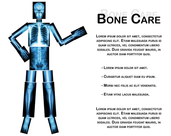 Esqueleto humano presentar algo (Todo el cuerpo: cabeza cráneo cuello columna hombro brazo codo antebrazo muñeca mano dedo pecho tórax corazón pulmón abdomen espalda vértebra pelvis cadera muslo rodilla tobillo pie  ) —  Fotos de Stock