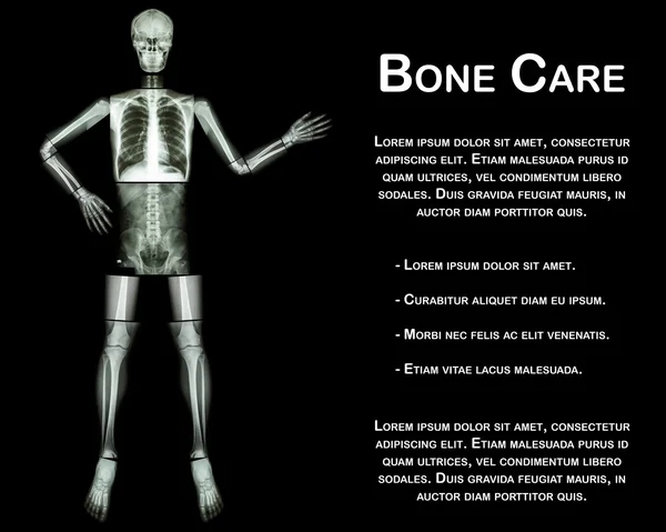 Squelette humain présenter quelque chose (Corps entier : tête crâne cou colonne vertébrale épaule bras coude avant-bras poignet main doigt poitrine thorax coeur poumon abdomen dos vertèbre bassin hanche cuisse genou jambe cheville pied  ) — Photo