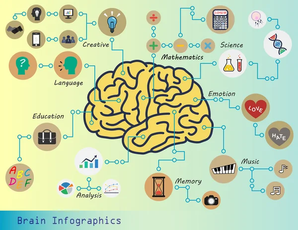 Infografías cerebrales — Archivo Imágenes Vectoriales