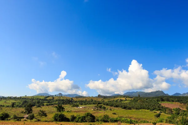 Vista al campo — Foto de Stock