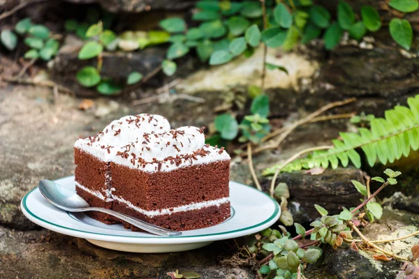 Choklad kakor i trädgården — Stockfoto