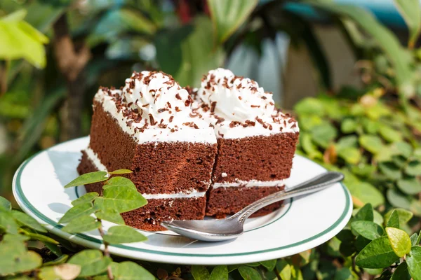 庭でチョコレート ケーキ — ストック写真