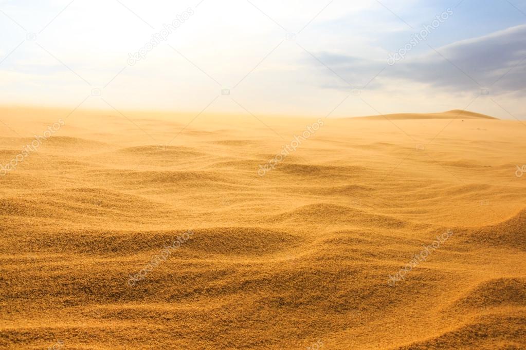 Wave on desert